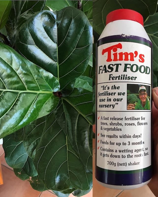 Tim's Fast Food
