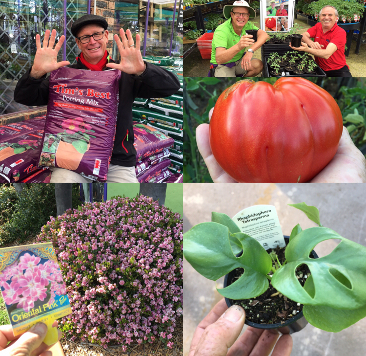 Tims Garden Centre Tim’s Best Potting Mix on sale for 10.00. Oct 07, 2019