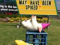 pig-party-punch-spiked.jpg