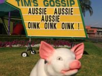 aussie-aussie-oink-oink.jpg