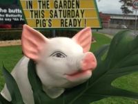 world-nude-gardening-day.jpg